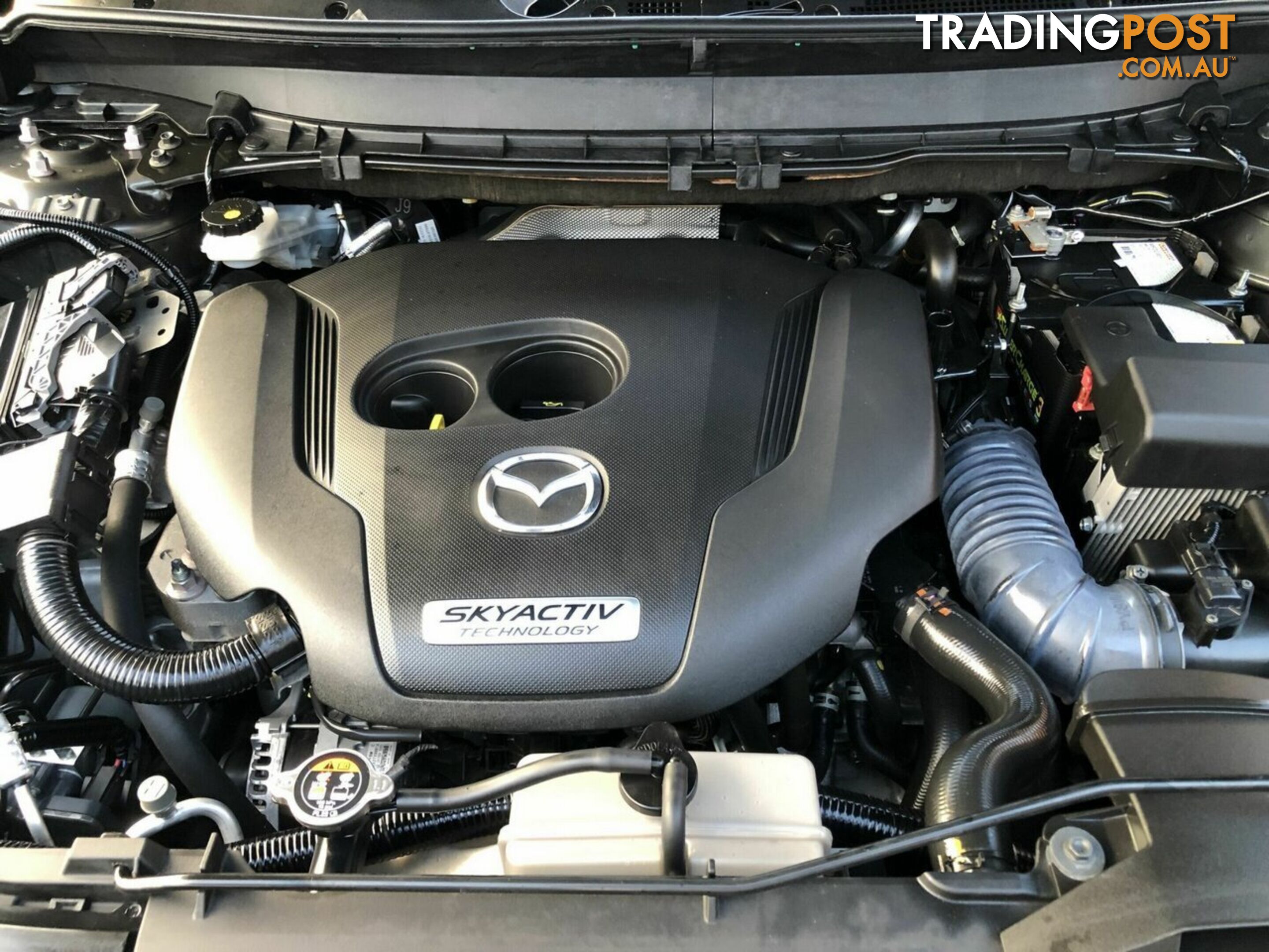 2019 MAZDA CX-9 AZAMI SKYACTIV-DRIVE TC WAGON