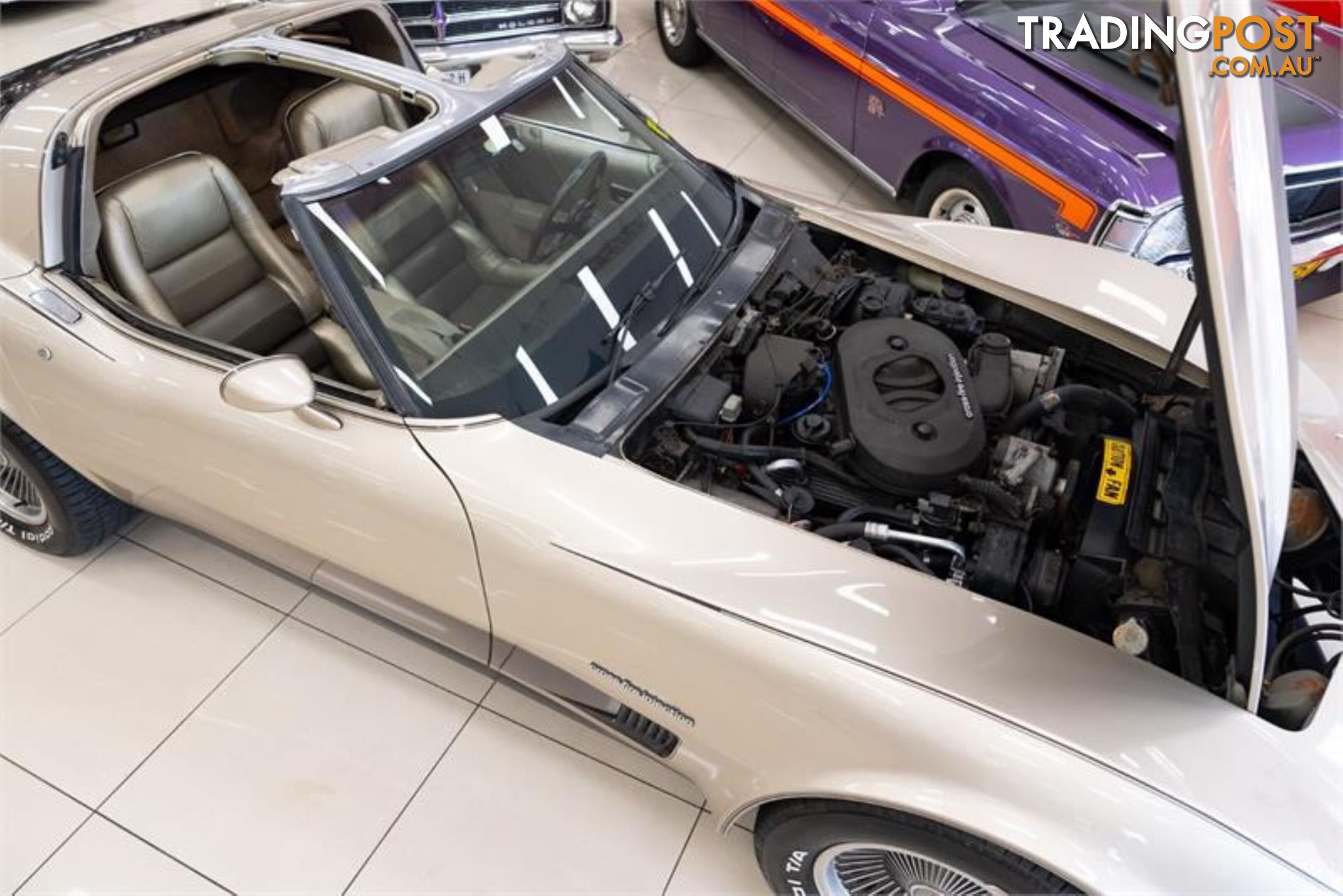 1982 CHEVROLET CORVETTE CORVETTE C3 2D TARGA