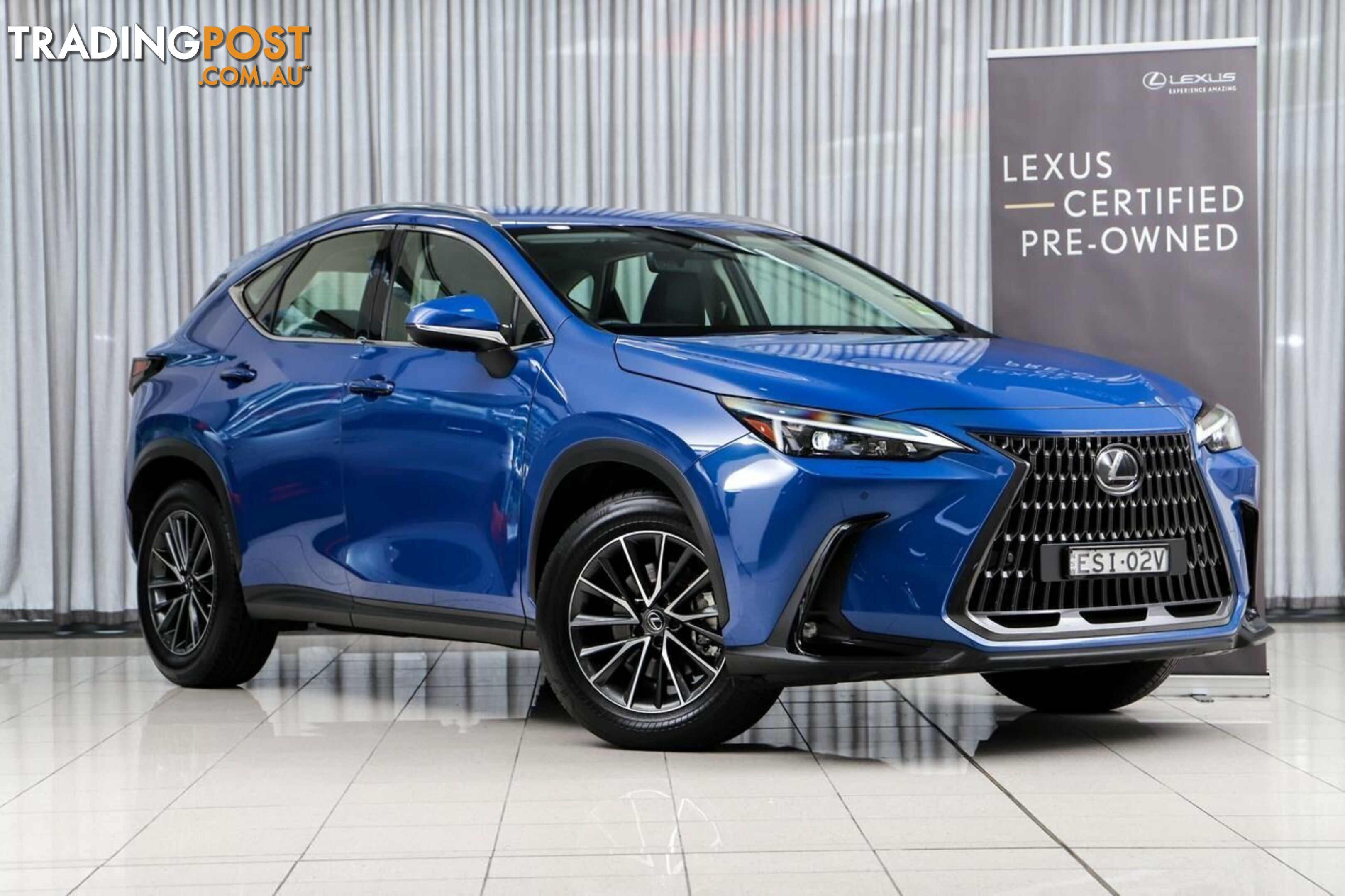 2022 Lexus NX NX250 2WD Aaza20R Wagon