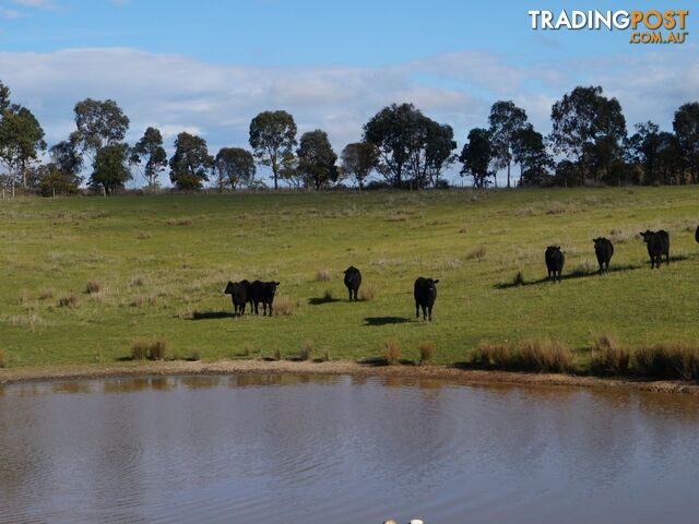 370 Selection Road SUGARLOAF CREEK VIC 3658