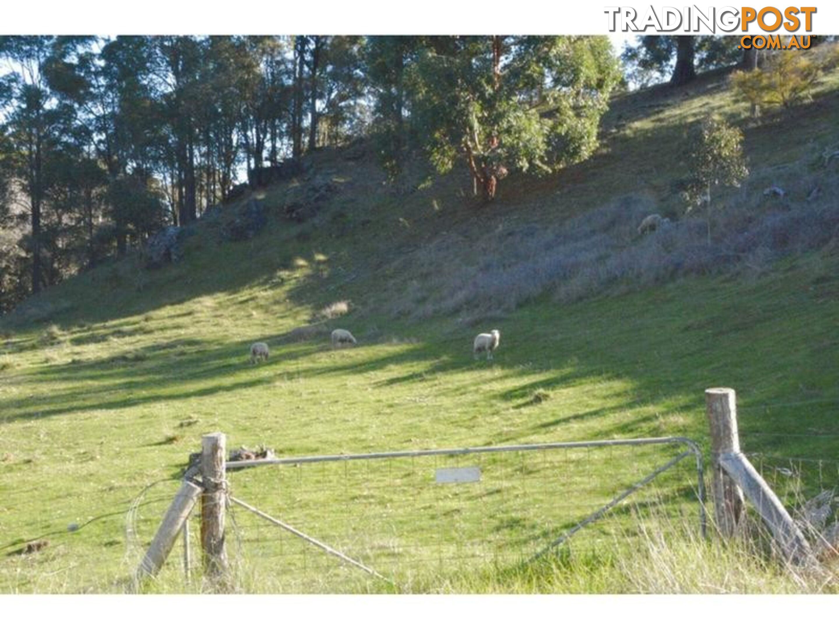 140 Vasse Highway NANNUP WA 6275