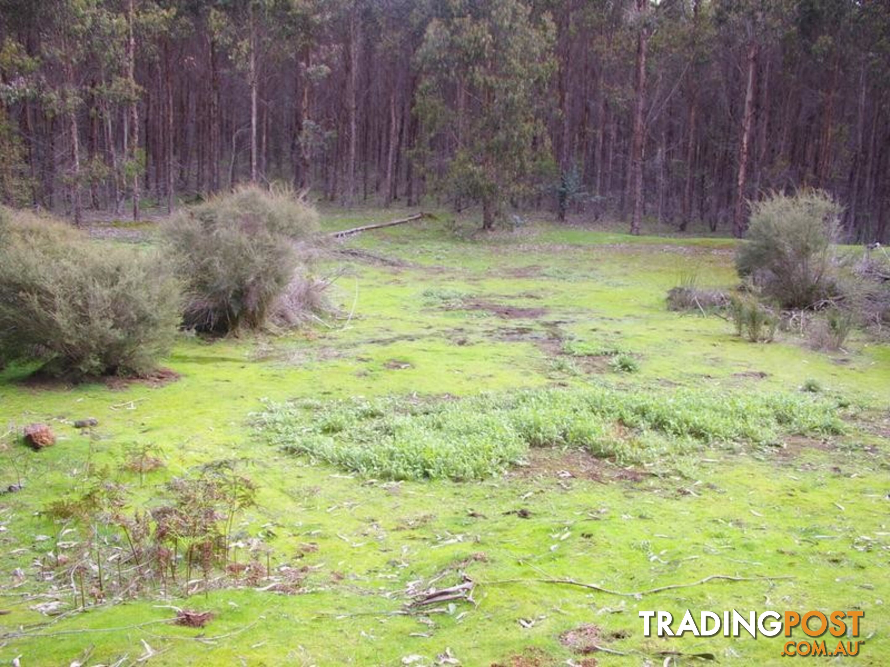 11215 Mount Lewin Loop Road NANNUP WA 6275