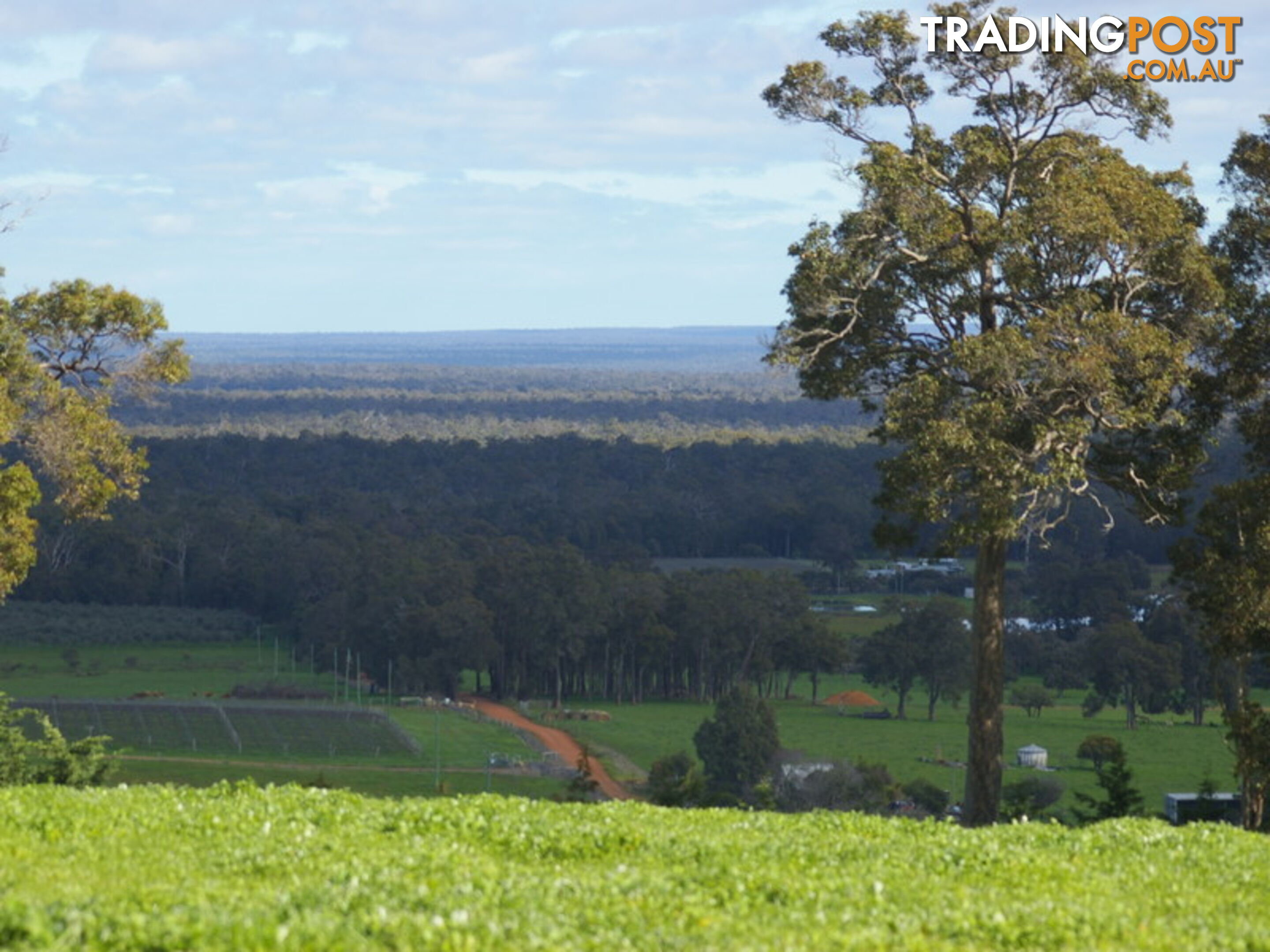 906 Credence Ridge NANNUP WA 6275