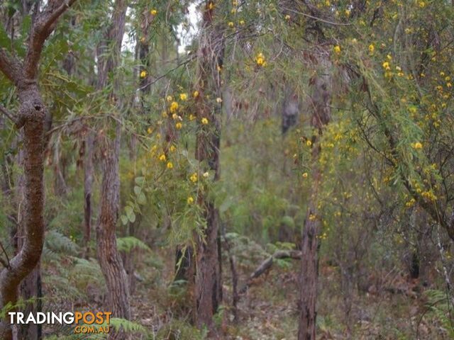 54 Leschenaultia Drive NANNUP WA 6275