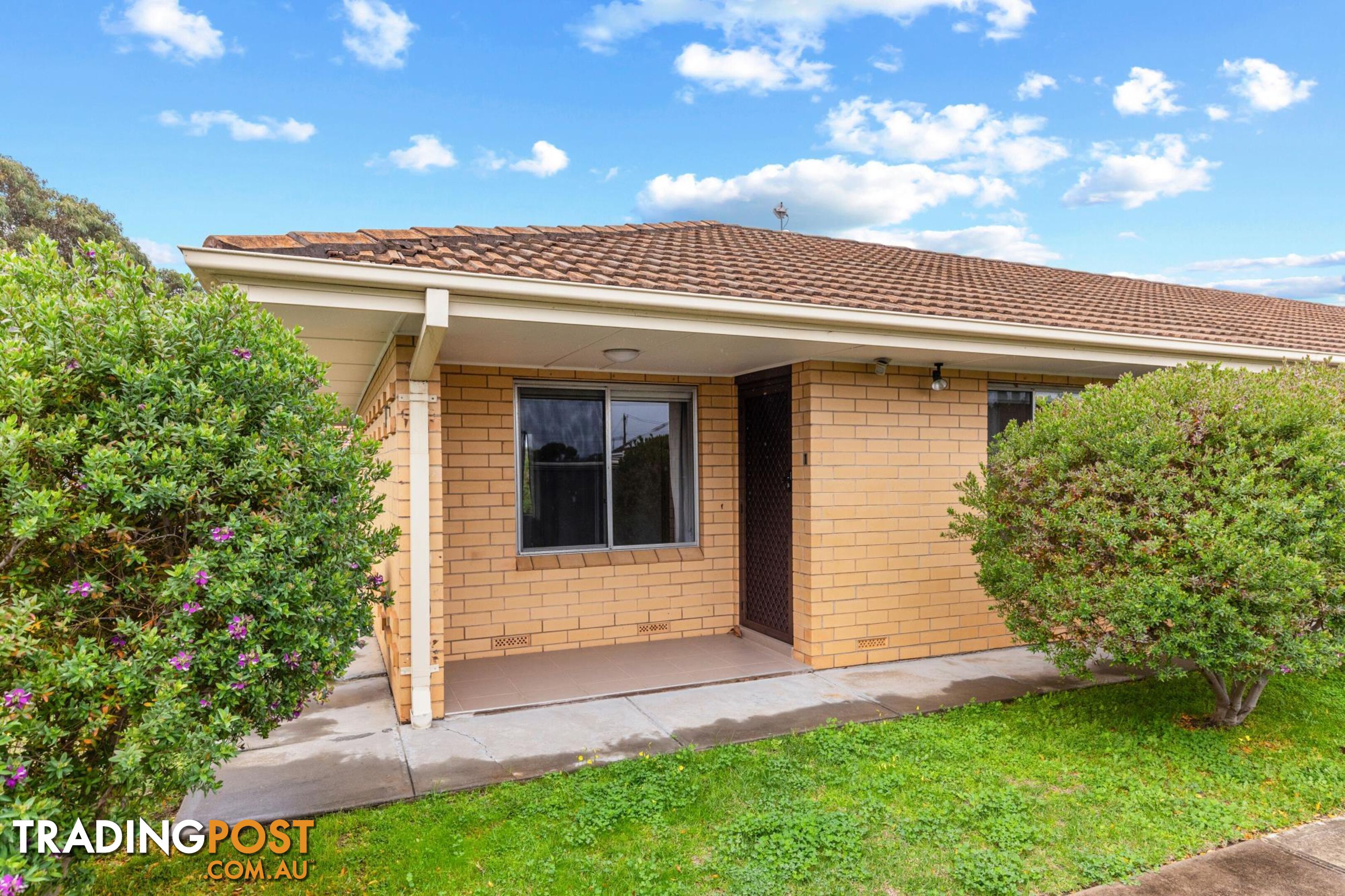 1/2 Albert Street ASCOT PARK SA 5043