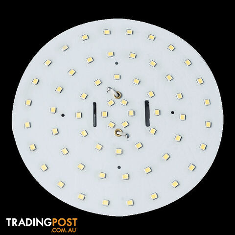 Led 60 Round Replacement Globe. Cool White. 12 Volt. 0315216C