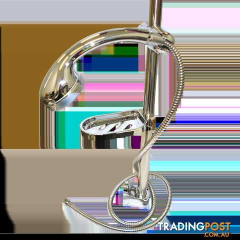 Coast Chrome Shower Rail W/Hose, Rose & Soap Dish. Srlg04