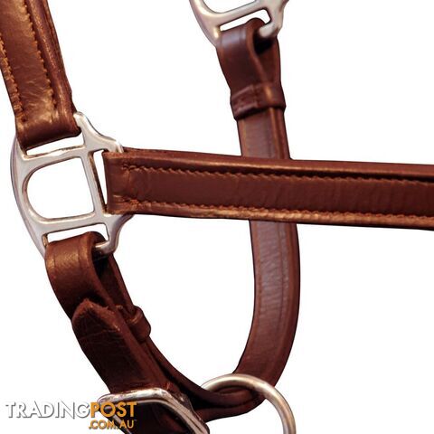 Horse Head Collars - 90887 - 8718475944898 - photo 3 of 4