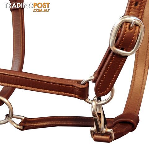 Horse Head Collars - 90887 - 8718475944898 - photo 2 of 4
