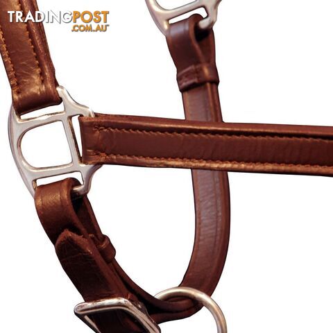 Horse Head Collars - 90887 - 8718475944898 - photo 4 of 4