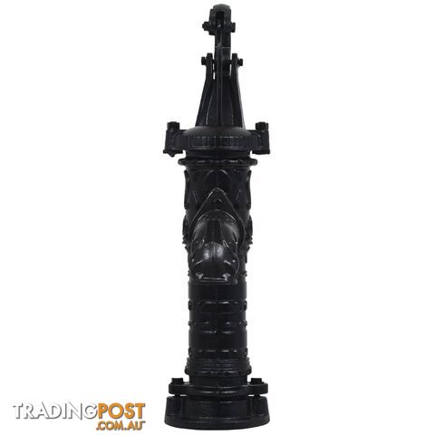 Well Pumps & Systems - 43867 - 8718475583486 - photo 3 of 7