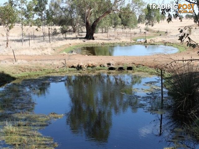 TOODYAY WA 6566