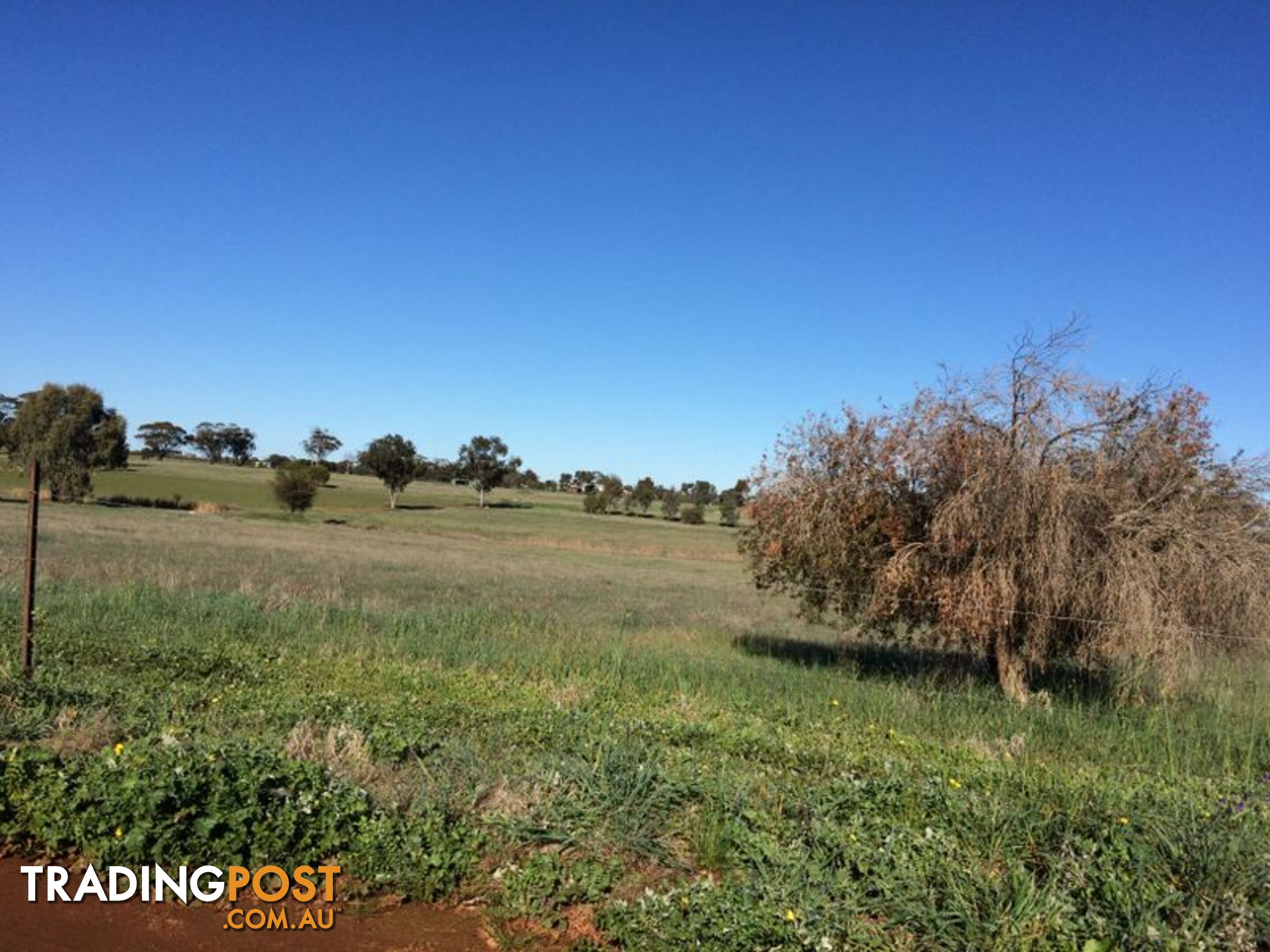 TOODYAY WA 6566