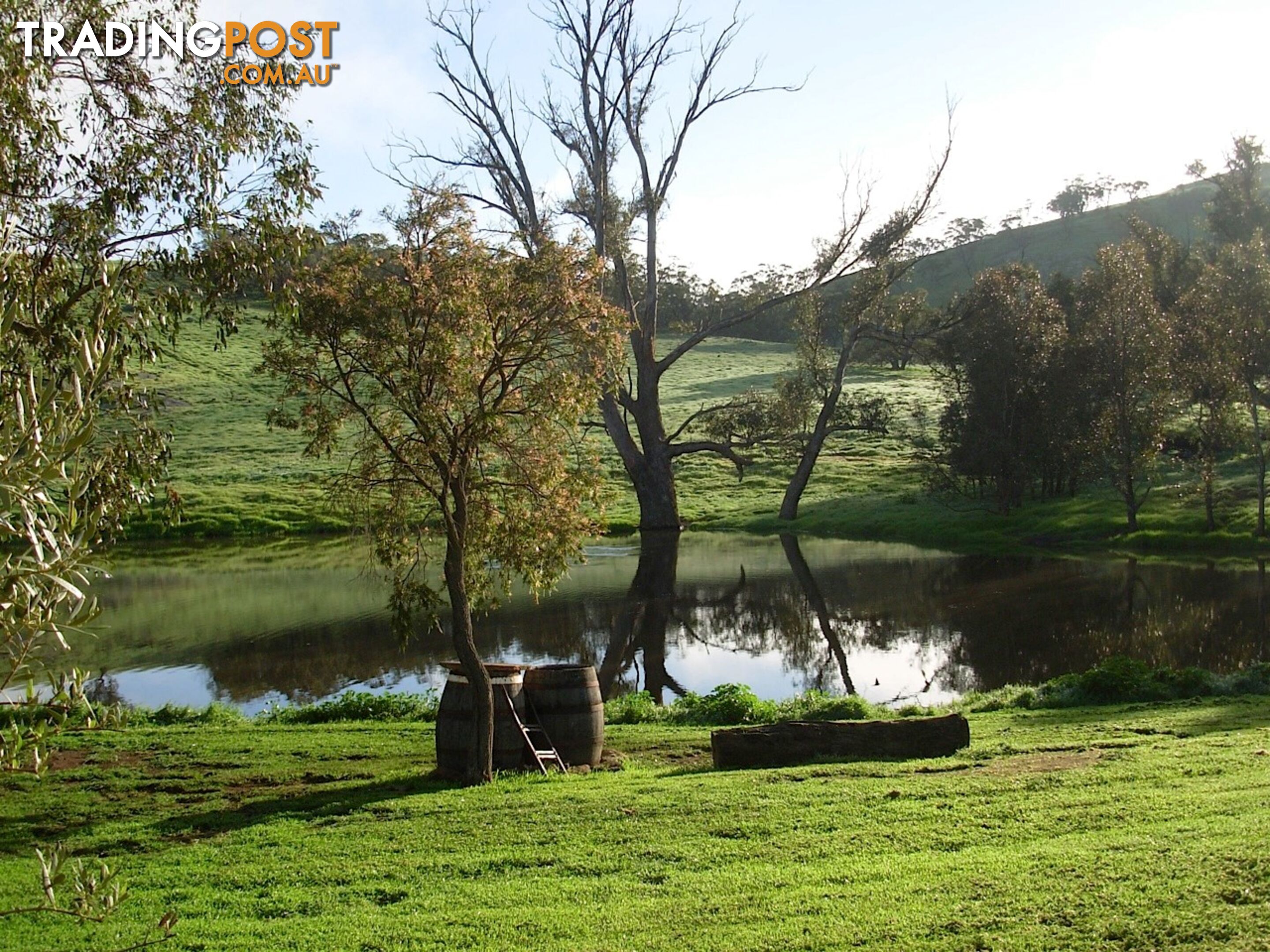 Lot 119 Drumree Drive TOODYAY WA 6566