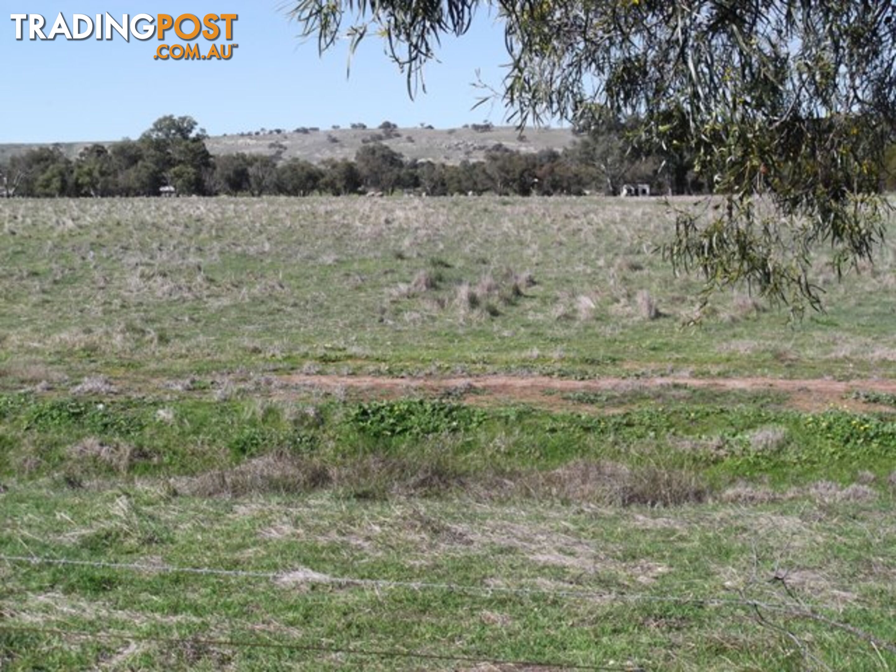 Lot 12 Whitfield Road TOODYAY WA 6566