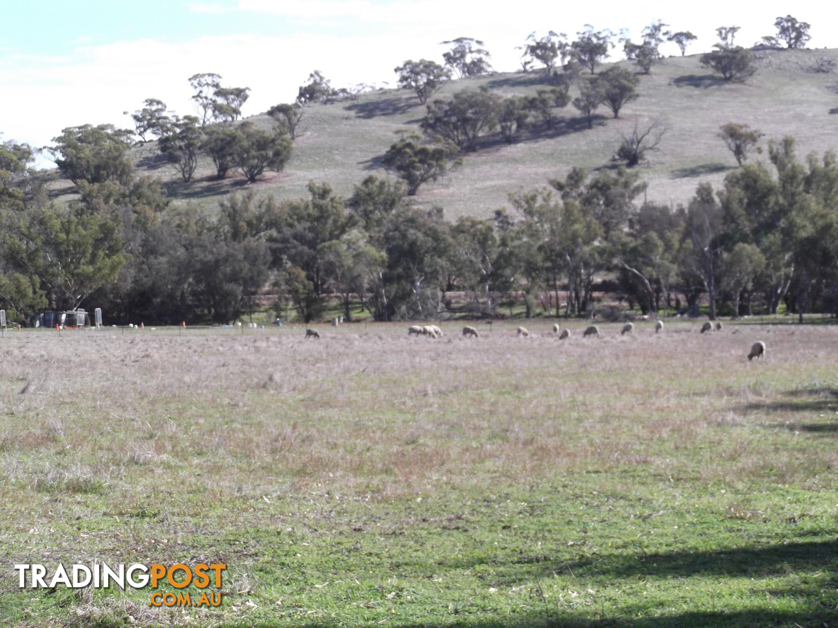 Lot 12 Whitfield Road TOODYAY WA 6566