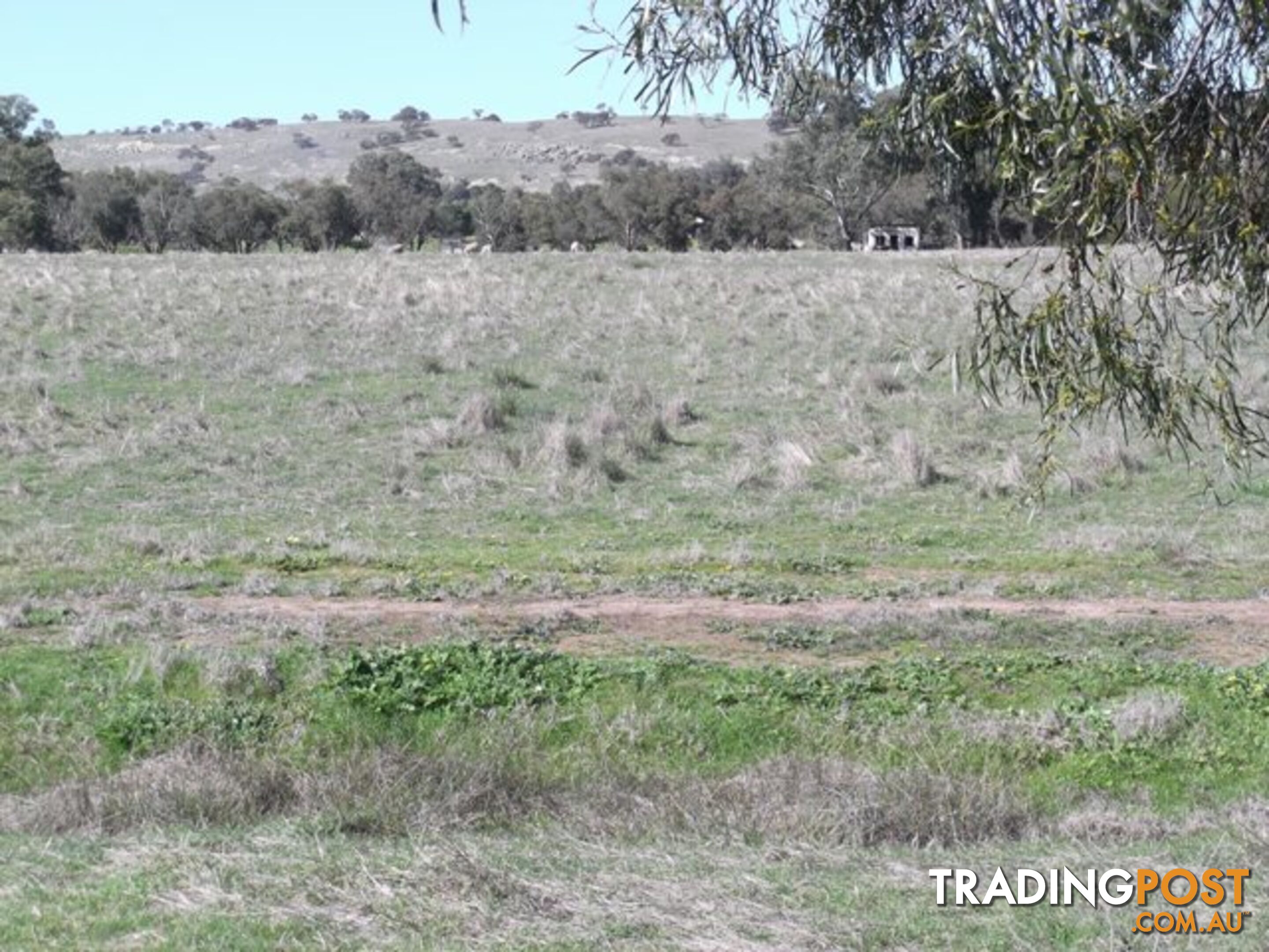 Lot 12 Whitfield Road TOODYAY WA 6566