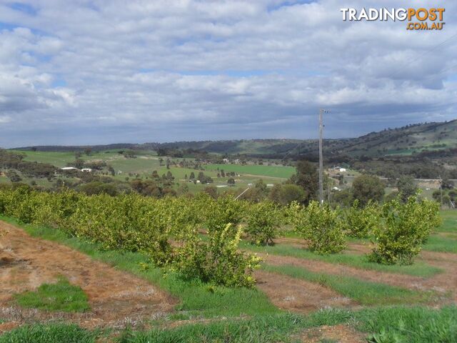 TOODYAY WA 6566