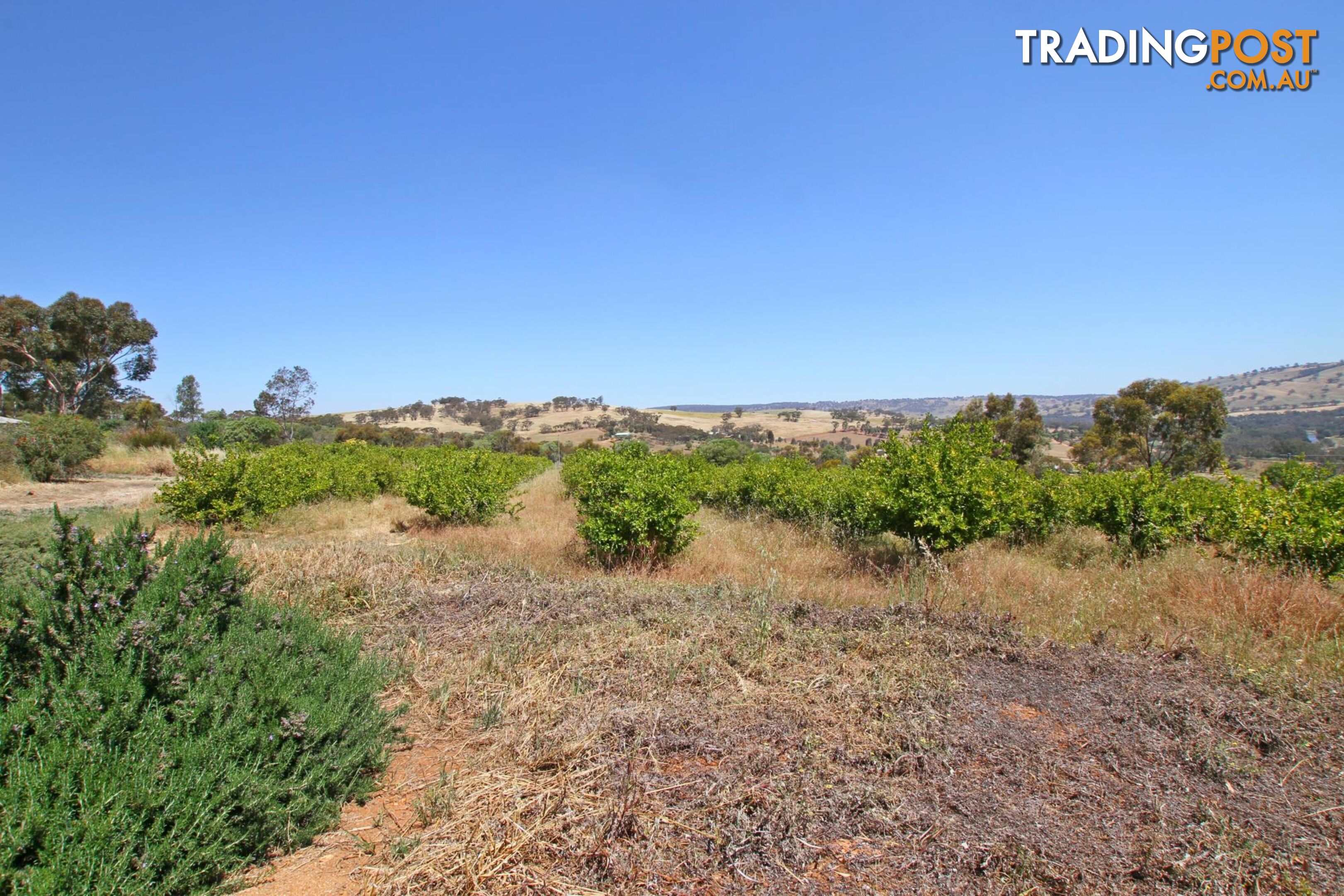 TOODYAY WA 6566