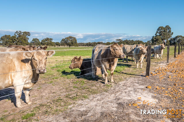 3191 Great Northern Highway BULLSBROOK WA 6084