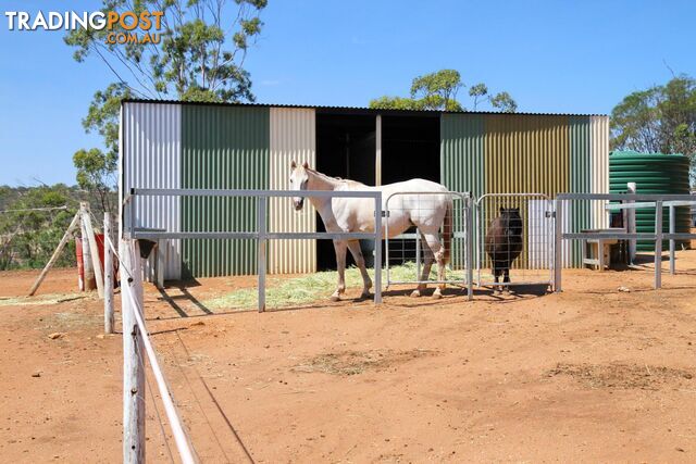 35 Wellington Street TOODYAY WA 6566