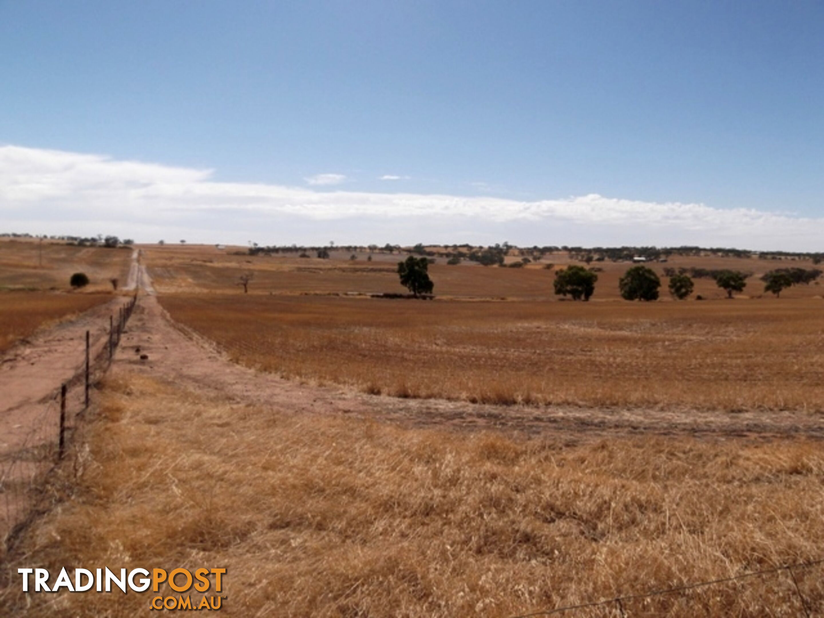 Lot 1690 Sheen Road TOODYAY WA 6566