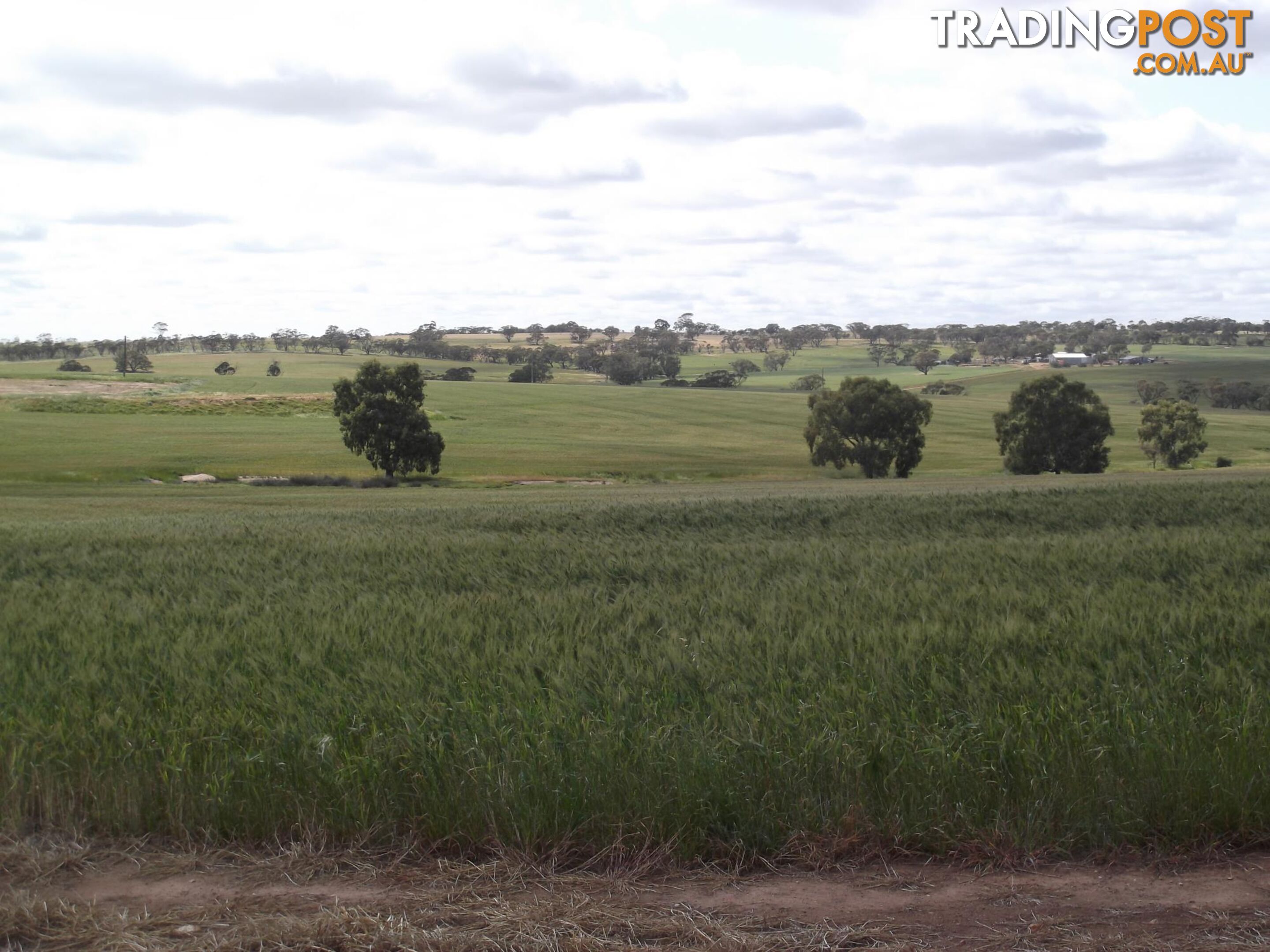 Lot 1690 Sheen Road TOODYAY WA 6566