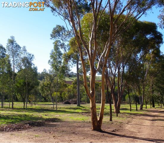 290 Railway Road TOODYAY WA 6566