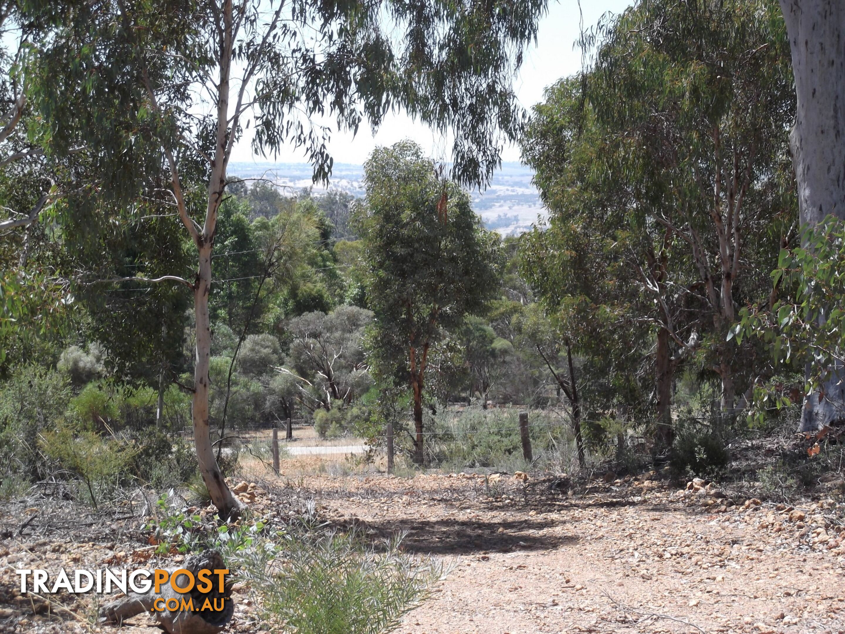 161 Harvester Drive TOODYAY WA 6566