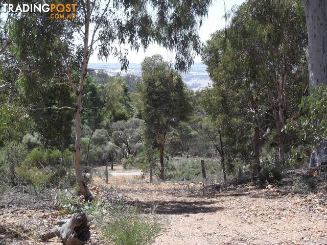 161 Harvester Drive TOODYAY WA 6566