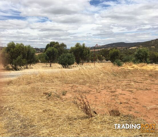 3 Tomkins Bend TOODYAY WA 6566