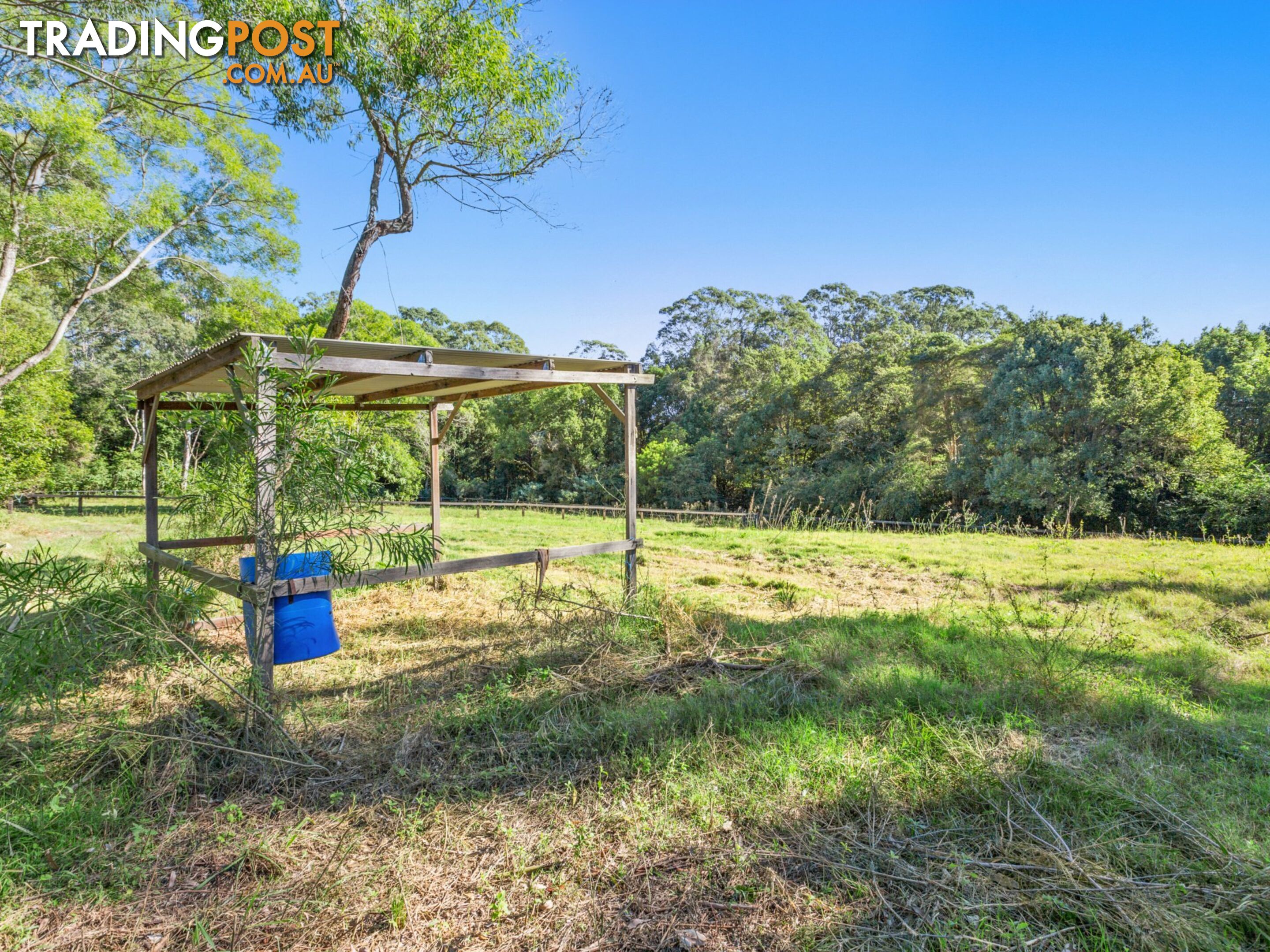 50 Mardi Road MARDI NSW 2259