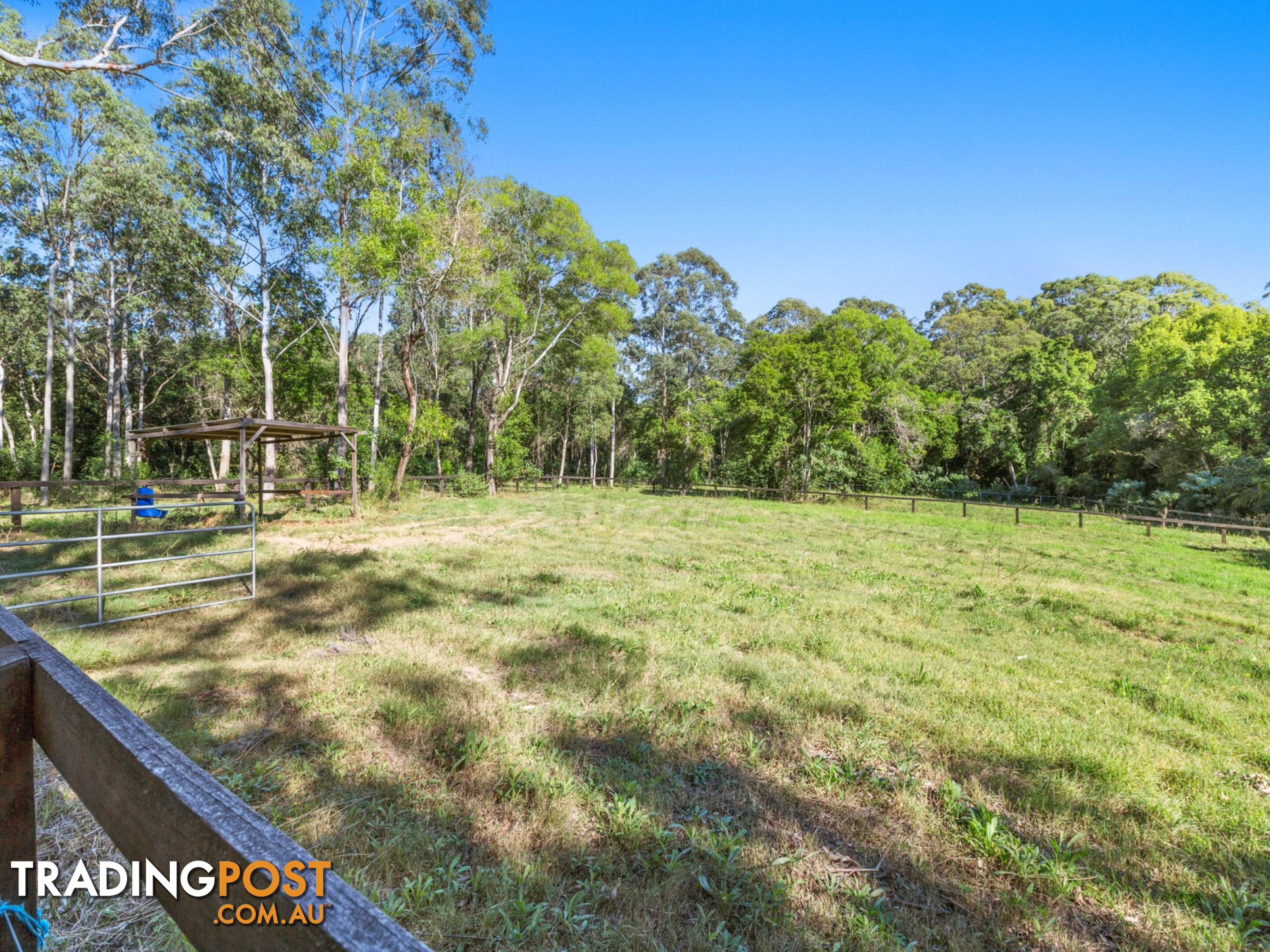 50 Mardi Road MARDI NSW 2259