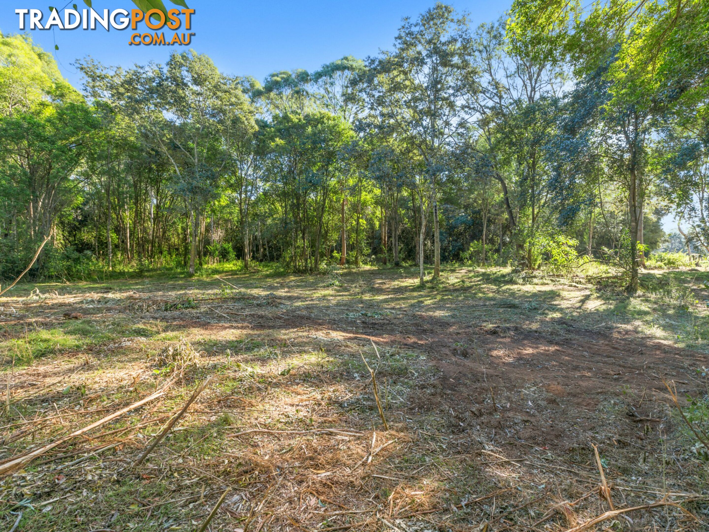 50 Mardi Road MARDI NSW 2259