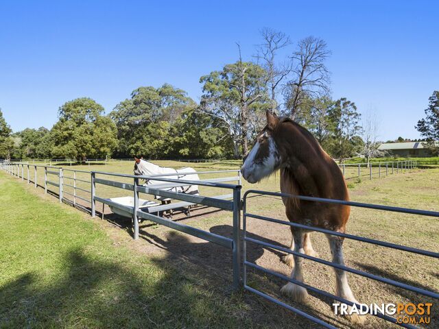 50 Mardi Road MARDI NSW 2259