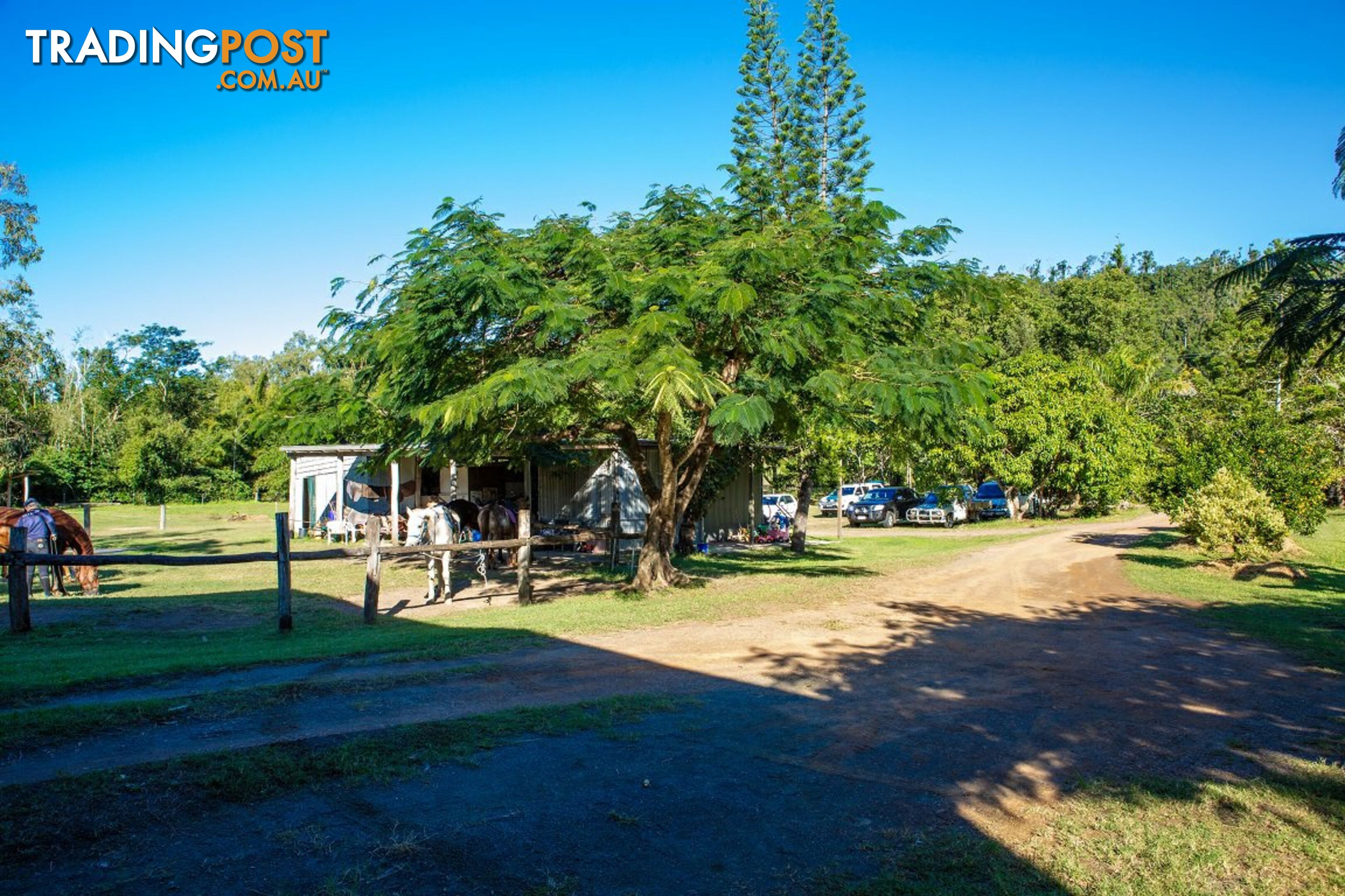 18 Moon Crescent SUGARLOAF QLD 4800