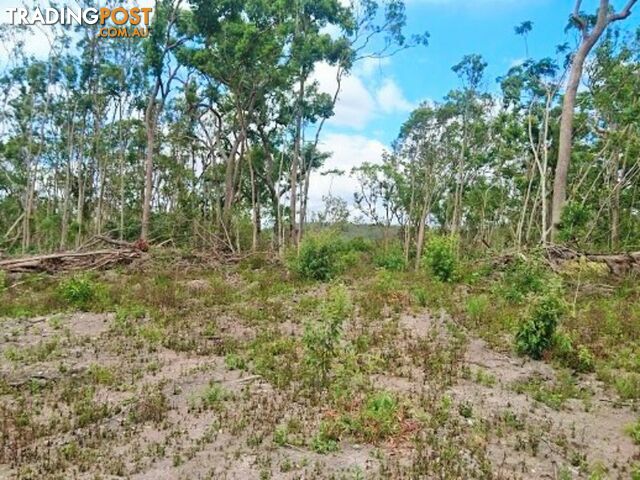 45 Saltwater Creek Road PALM GROVE QLD 4800