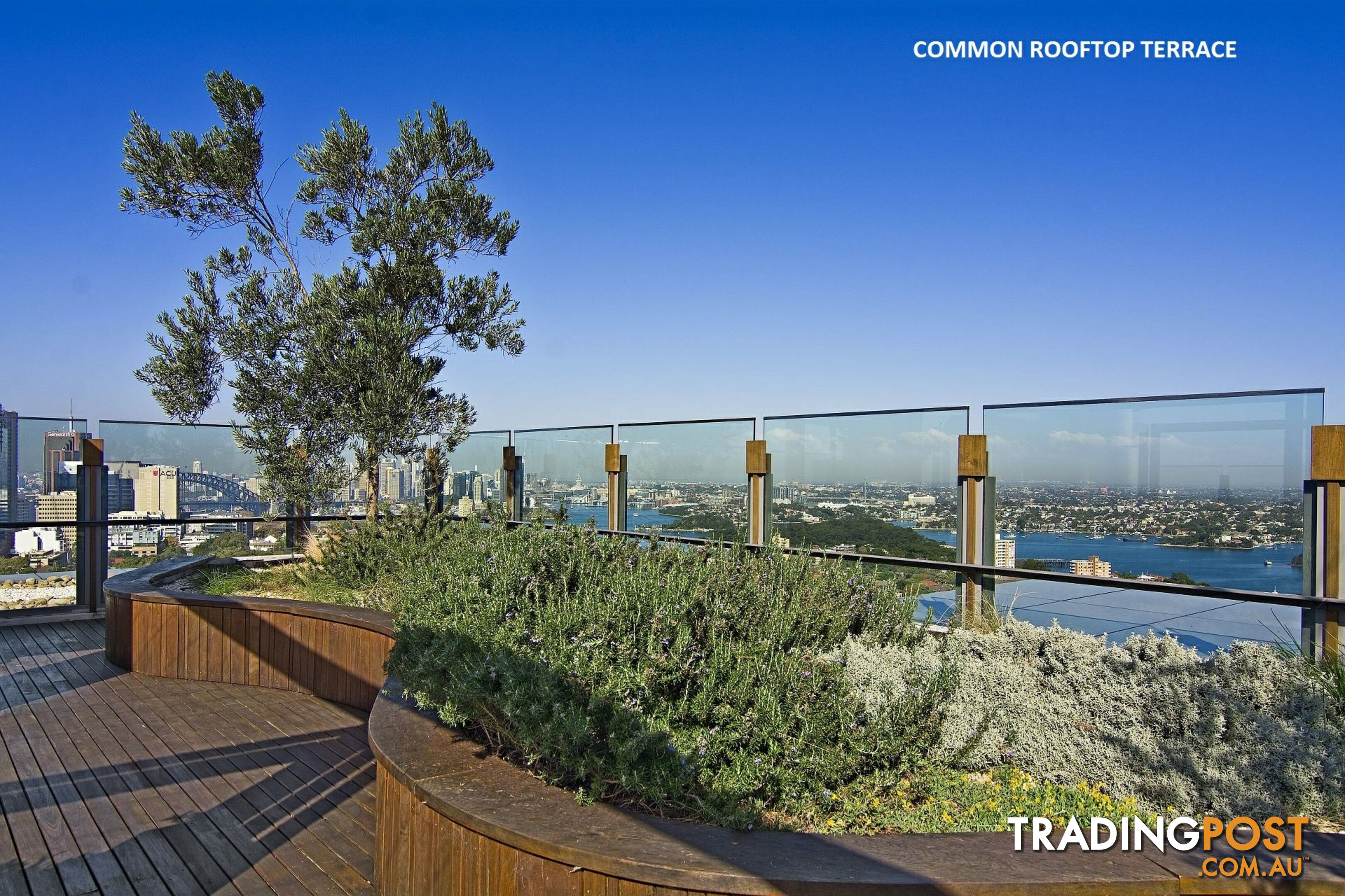 Unit 1603/200-220 Pacific Highway CROWS NEST NSW 2065