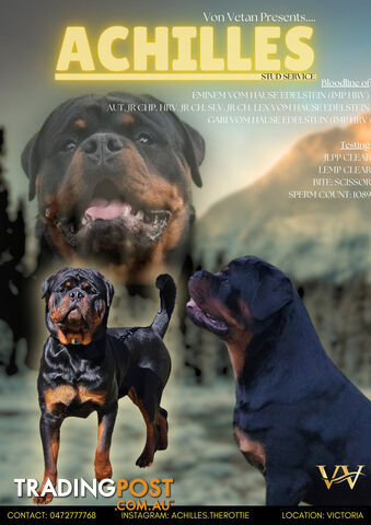 Pedigree Rottweiler Stud Service