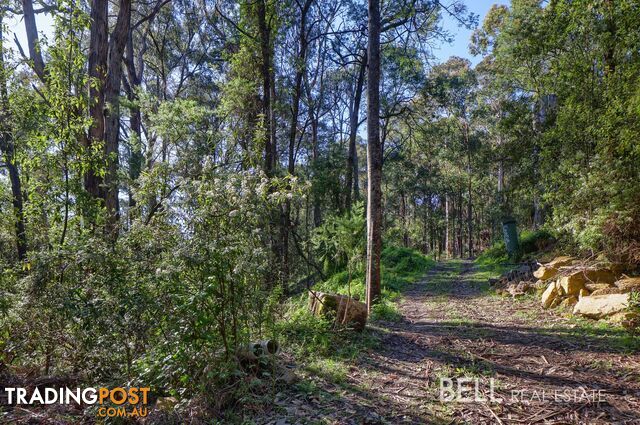 Lot 3 Amphlett Avenue COCKATOO VIC 3781