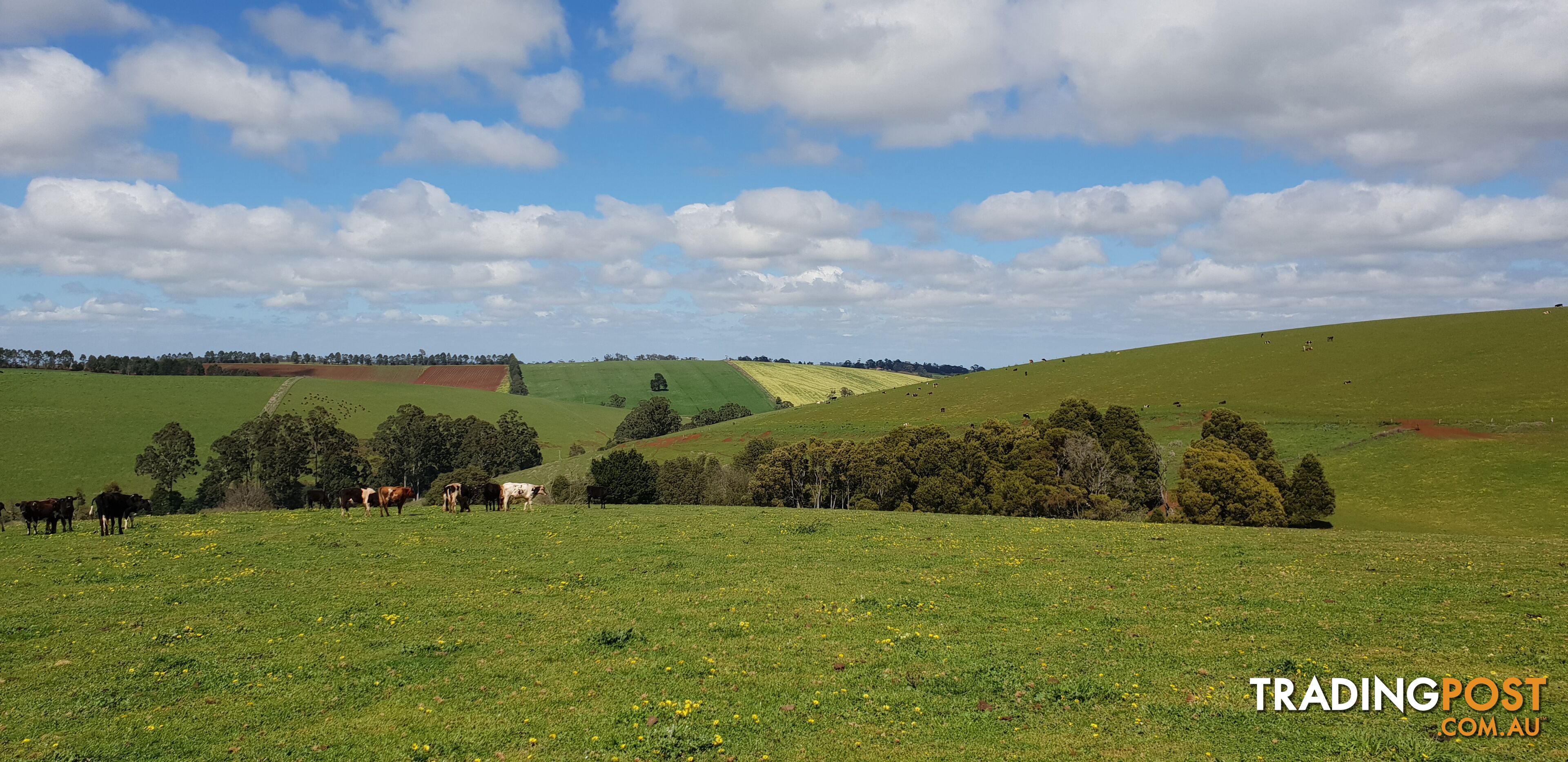 1 Main Street GEMBROOK VIC 3783