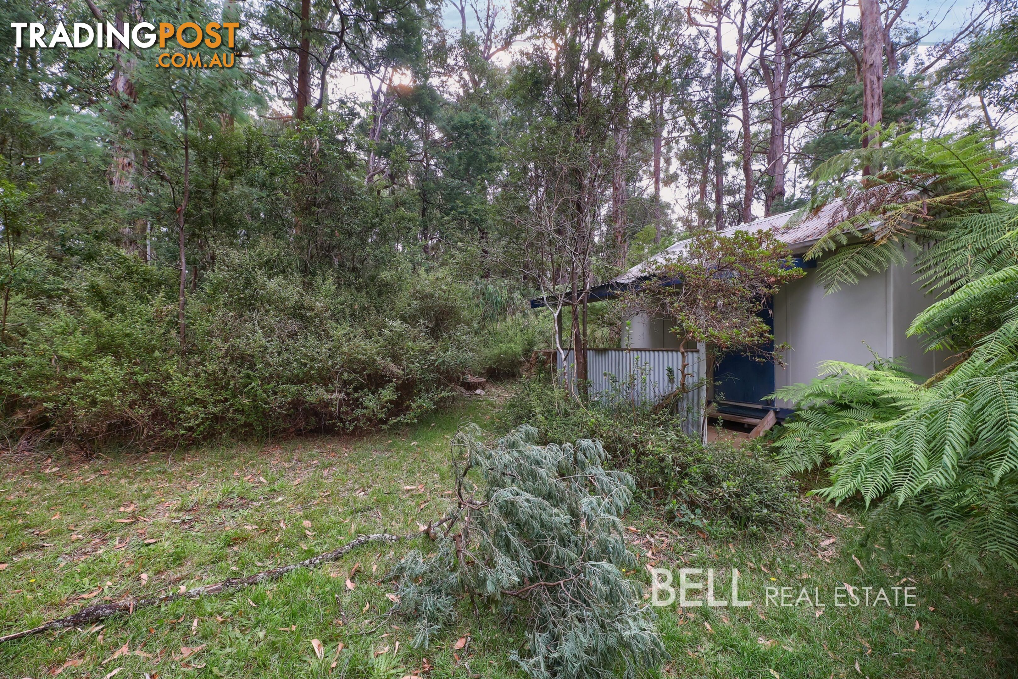 48 Fairy Dell Road MONBULK VIC 3793