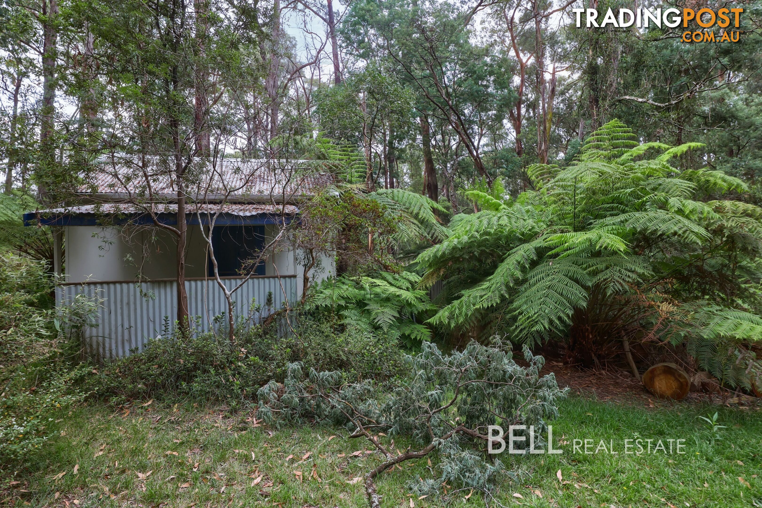 48 Fairy Dell Road MONBULK VIC 3793