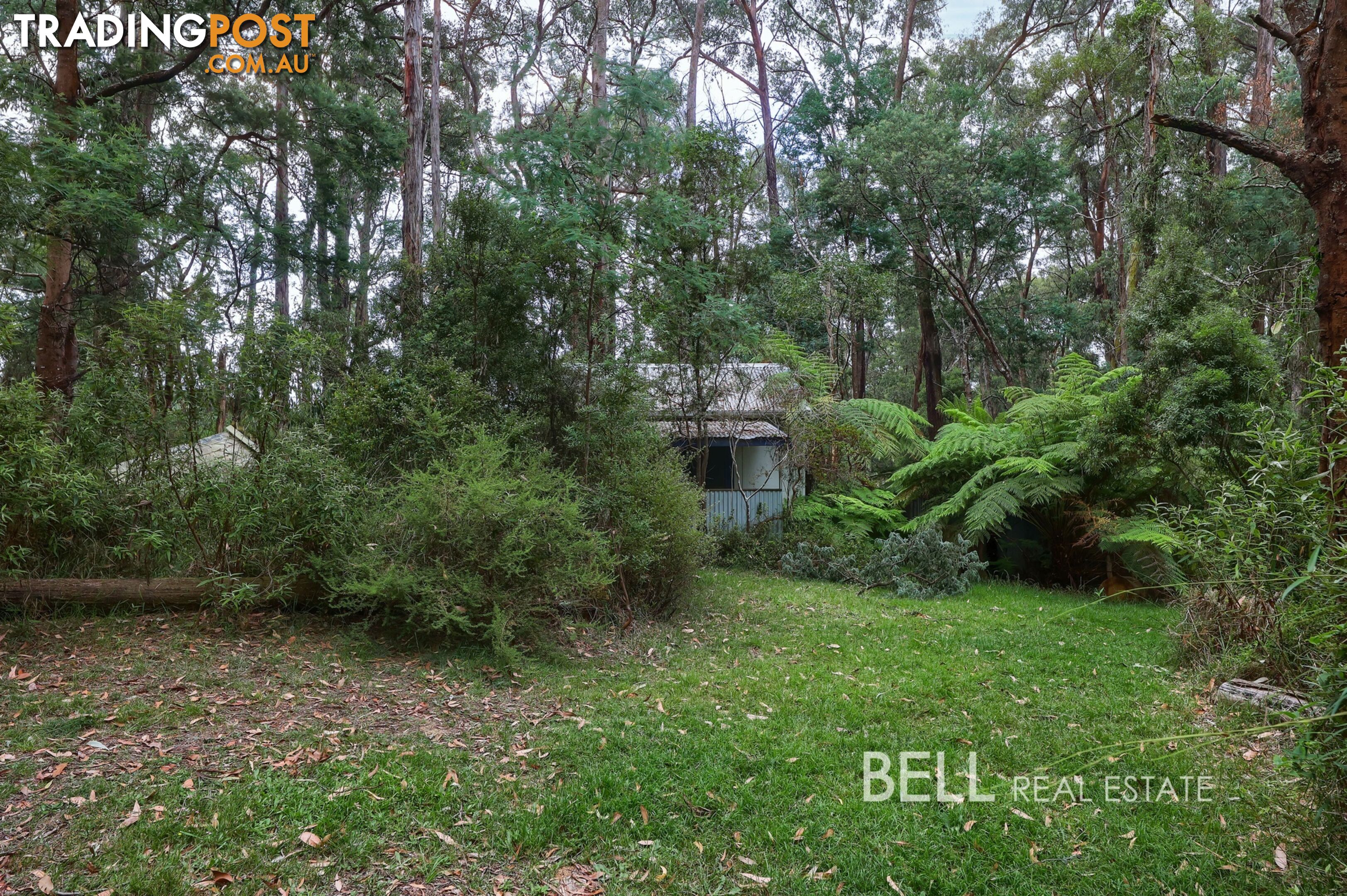 48 Fairy Dell Road MONBULK VIC 3793