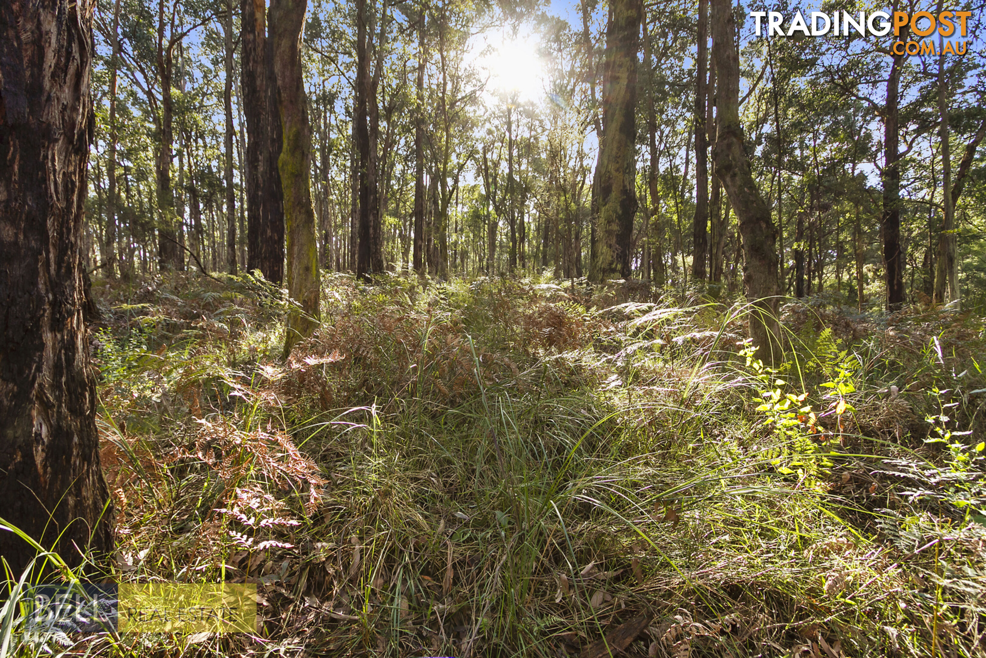 1065 Pakenham Road PAKENHAM UPPER VIC 3810