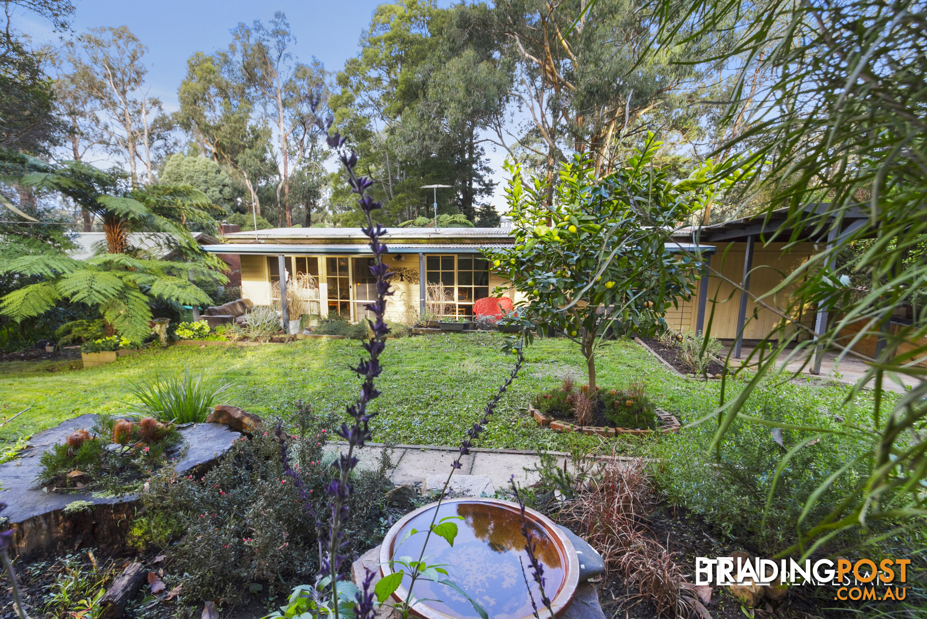 14 Dunstan Road AVONSLEIGH VIC 3782