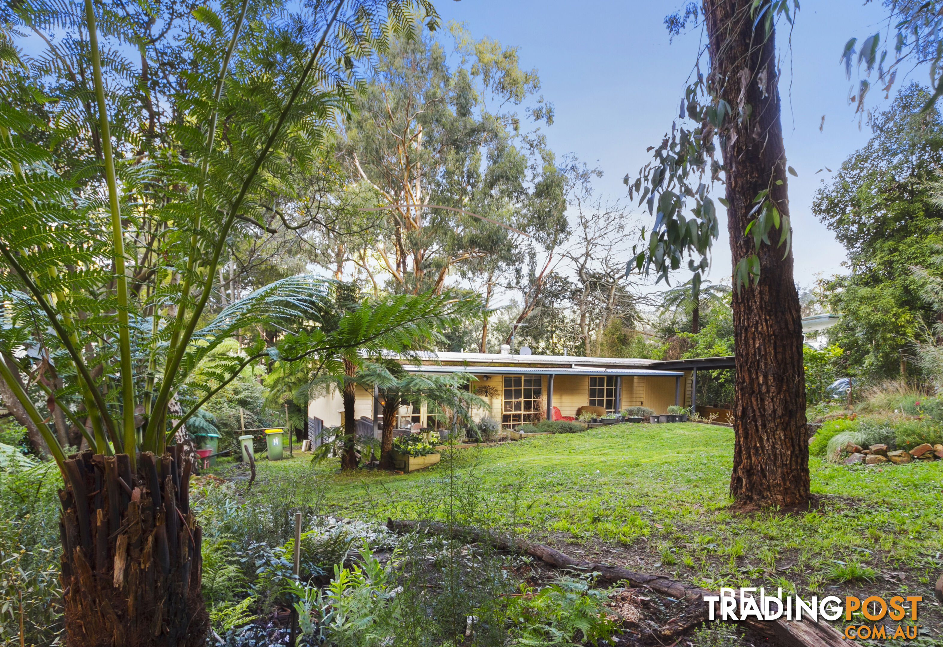 14 Dunstan Road AVONSLEIGH VIC 3782