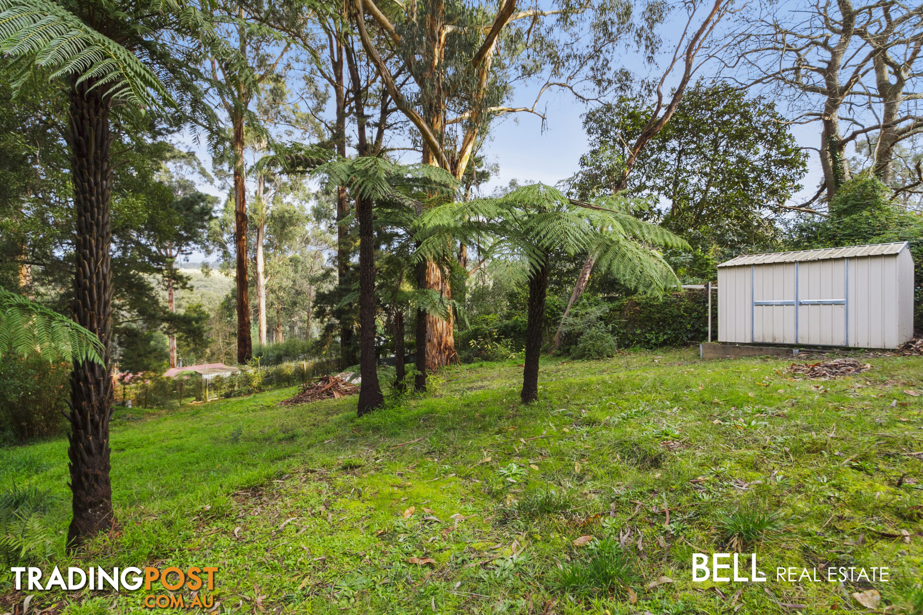 14 Dunstan Road AVONSLEIGH VIC 3782