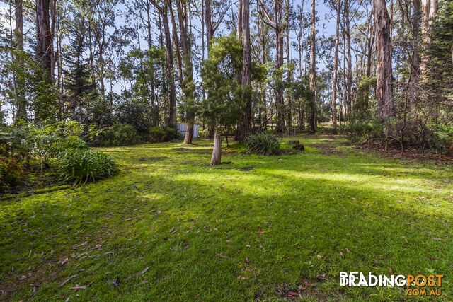 11 Doonaha Road COCKATOO VIC 3781