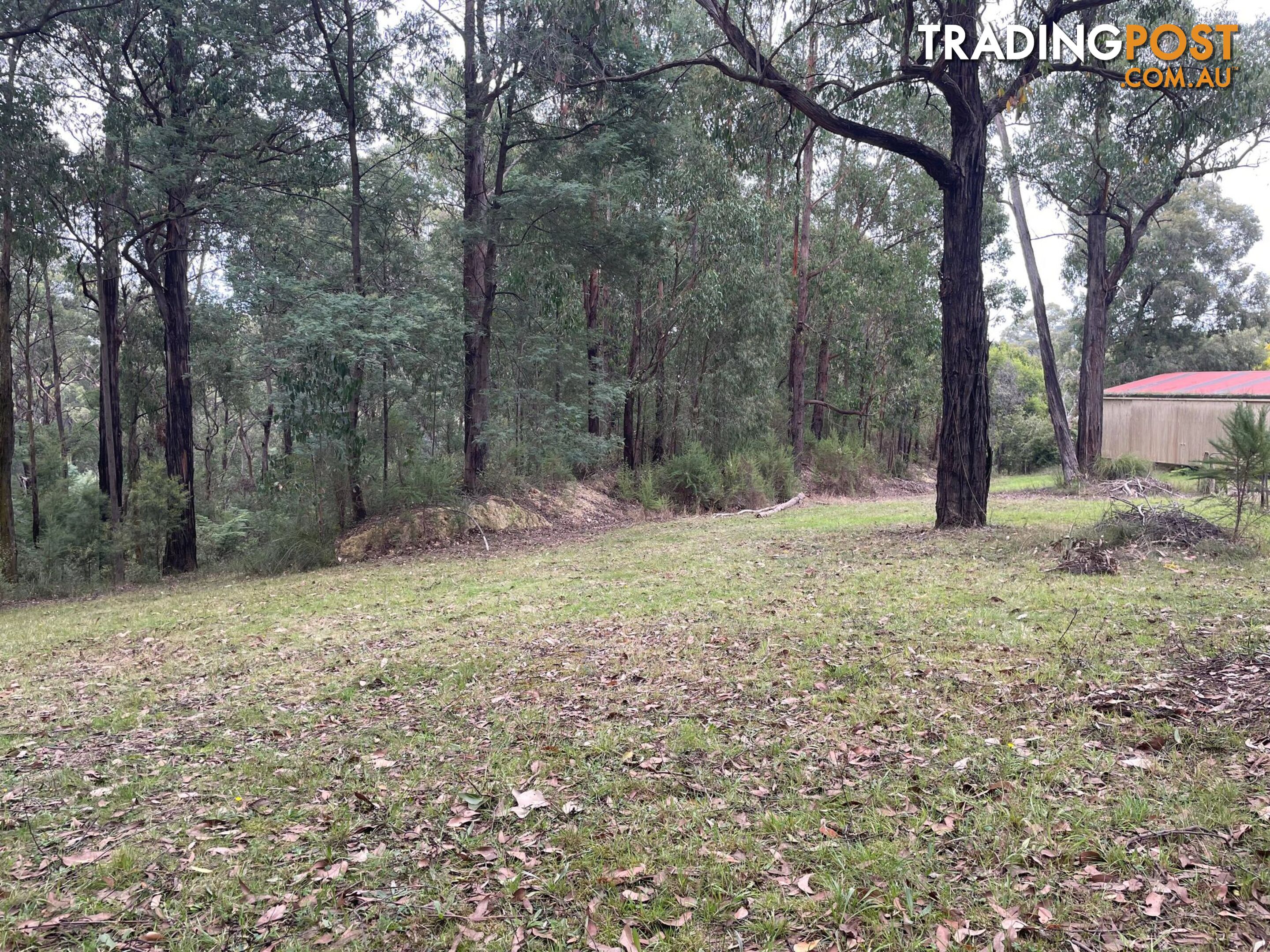 181 Rainy Hill Road COCKATOO VIC 3781